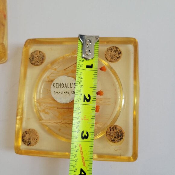 Vintage Kendalls Lucite Coasters With Dried Flowers & Stand Set Of 4 - Picture 3 of 6